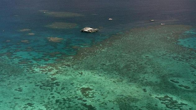 FILE - This Sept. 10, 2001, file photo shows Agincourt Reef, located about 30 miles off the coast near the northern reaches of the 1,200-mile long Great Barrier Reef.(AP)