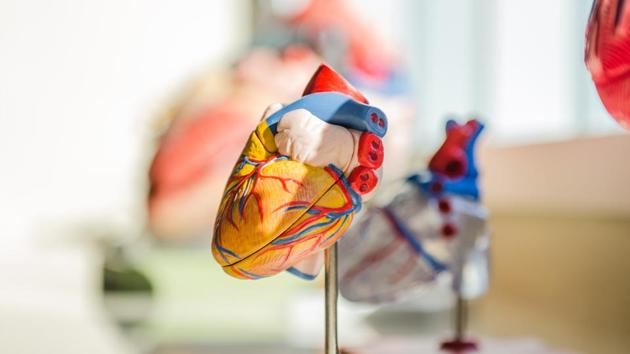 The study led by Mar Pujades-Rodriguez at Leeds University and colleagues was published in PLOS Medicine.(Unsplash) The study led by Mar Pujades-Rodriguez at Leeds University and colleagues was published in PLOS Medicine.(Unsplash)