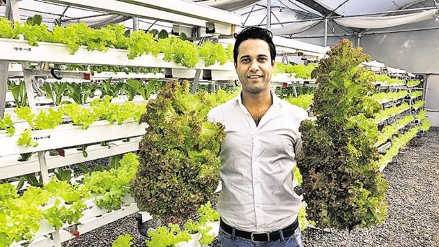 Singh started Barton Breeze in Dubai, where he said he realised the need was great. He expanded operations to India in 2017 and is now offering home kits for urban farmers too.