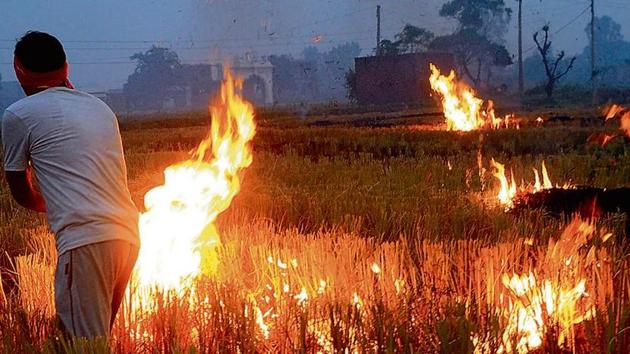 A farmer burning stubble in a paddy field at Devigarh village near Patiala last month. These fires are a major contributor to the annual November pollution in Delhi.(Bharat Bhushan/HT photo)