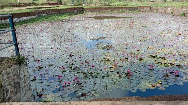 The Jamsar lake is around 600-700 years old.(Jamsar gram sabha)