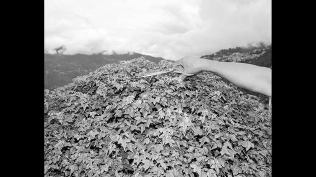 As the only family member not involved in living at and running the hotel, Tenzing Dakpa negotiates feelings of detachment when he visits – it is at once a home and a place of impermanence. (Tenzing Dakpa)