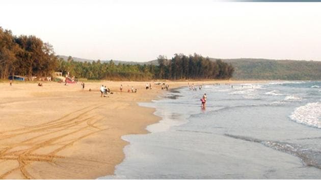 The Guhagar beach is an Olive Ridley turtle breeding area.(Sourced)