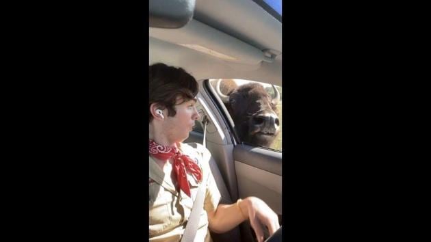 The image shows Dylan Mulvaney and a bison. (Instagram/@dylanmulvaney) The image shows Dylan Mulvaney and a bison. (Instagram/@dylanmulvaney)