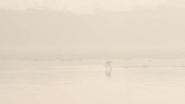 A man collects water from the Yamuna river amid poor visibility due to dense fog in New Delhi on December 9. The major factors influencing Delhi’s air quality at present include reduced ventilation index and fog formation. Air quality is likely to remain in the very poor category until December 11, HT reported citing the SAFAR bulletin. (Arvind Yadav / HT Photo) A man collects water from the Yamuna river amid poor visibility due to dense fog in New Delhi on December 9. The major factors influencing Delhi’s air quality at present include reduced ventilation index and fog formation. Air quality is likely to remain in the very poor category until December 11, HT reported citing the SAFAR bulletin. (Arvind Yadav / HT Photo)