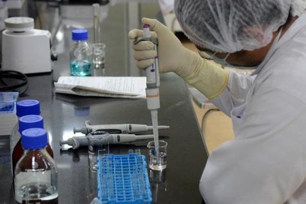 The number of deaths due to the infection has come down drastically lately as the spread of the infection has slowed down(REUTERS) The number of deaths due to the infection has come down drastically lately as the spread of the infection has slowed down(REUTERS)