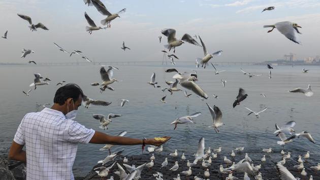 A man feeds seagulls at Mahim Beach in Mumbai on December 9. “Owing to the formation of a weather system over central India, warm and dry easterly winds, termed easterly waves, are moving over the city. While this is already letting temperatures to rise, the sea breeze set in very late on Tuesday (December 8) allowing the maximum temperature to rise further,” Bishwambhar Singh, director, regional meteorological centre, IMD Mumbai, told HT. (Kunal Patil / PTI)