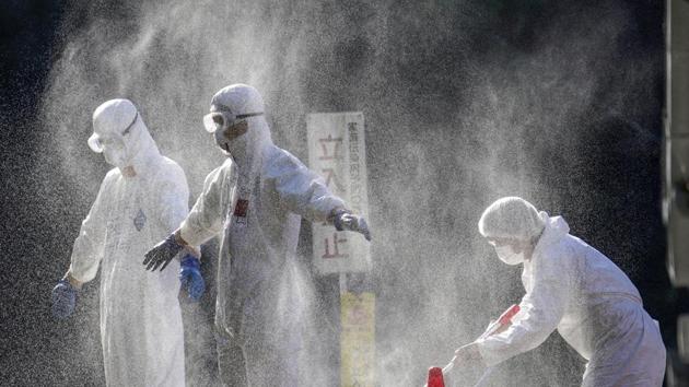 Officials in protective suits work at a chicken farm where an outbreak of a highly pathogenic bird flu was confirmed in Mitoyo, western Japan. (Reuters) Officials in protective suits work at a chicken farm where an outbreak of a highly pathogenic bird flu was confirmed in Mitoyo, western Japan. (Reuters)