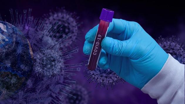 The findings, published in the journal PLOS Computational Biology, found that ducks, rats, mice, pigs and chickens had lower or no susceptibility to the coronavirus compared to humans. (Pixabay) The findings, published in the journal PLOS Computational Biology, found that ducks, rats, mice, pigs and chickens had lower or no susceptibility to the coronavirus compared to humans. (Pixabay)