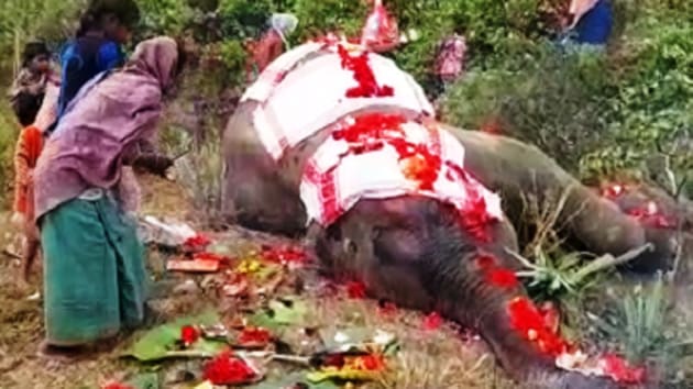 Local residents offer prayers to the wild elephant killed by a speeding train near Guwahati on Friday morning.(Sourced)