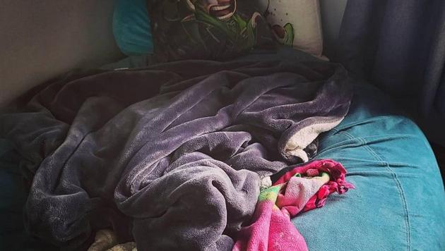 Pet owners shared all sorts of posts. (Instagram/@marypat34) Pet owners shared all sorts of posts. (Instagram/@marypat34)