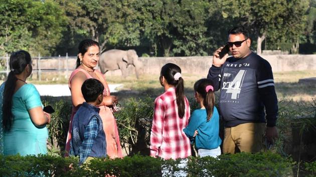 Visitors at the elephant enclosure at Chhatbir Zoo in Zirakpur on Thursday. (Gurminder Singh/HT) Visitors at the elephant enclosure at Chhatbir Zoo in Zirakpur on Thursday. (Gurminder Singh/HT)