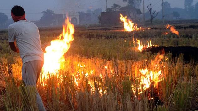 This system of blocking DBT to farmers is only in practice in Bihar. It is proving effective as farmers cannot get benefits for three years, which is a long time.) (HT Photo) This system of blocking DBT to farmers is only in practice in Bihar. It is proving effective as farmers cannot get benefits for three years, which is a long time.) (HT Photo)