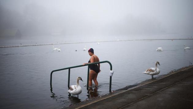 A swimmer enters the Serpentine Lake in Hyde Park during cold and foggy weather, in London, England on December 8. (Henry Nicholls / REUTERS) A swimmer enters the Serpentine Lake in Hyde Park during cold and foggy weather, in London, England on December 8. (Henry Nicholls / REUTERS)
