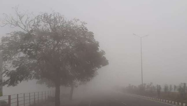 Different parts of Rajasthan experienced a cold wave and dense fog. (PTI) Different parts of Rajasthan experienced a cold wave and dense fog. (PTI)