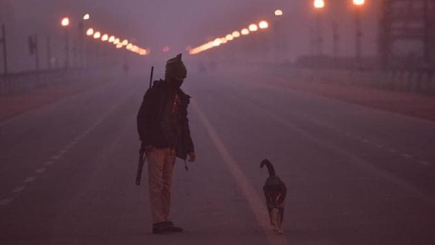 A dog walks past a security personnel at Rajpath near India Gate in New Delhi on December 12. The maximum temperature in Delhi on December 14 was 19.4 degrees Celsius on December 14,  which was 4 notches below normal. (Sanchit Khanna / HT Photo) 