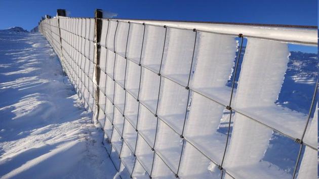 The image shows the fence covered with ice.(Reddit)