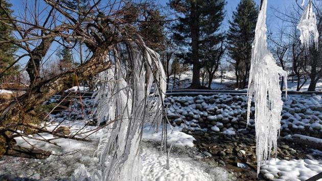 Icicles are seen on tree branches, at Drung region of Tangmarg, about 50 kilometers from Srinagar. (HT Photo) Icicles are seen on tree branches, at Drung region of Tangmarg, about 50 kilometers from Srinagar. (HT Photo)