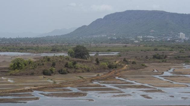 Raigad district administration informed the HC panel that there were no wetland sites in Uran taluka(HT Photo)