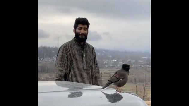 The image shows a bird perched atop a car’s bonnet while a man stands next to it. (Instagram/@swastikmastaan) The image shows a bird perched atop a car’s bonnet while a man stands next to it. (Instagram/@swastikmastaan)