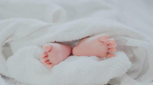 Their unexpected story may leave you amused and amazed. (Unsplash) Their unexpected story may leave you amused and amazed. (Unsplash)