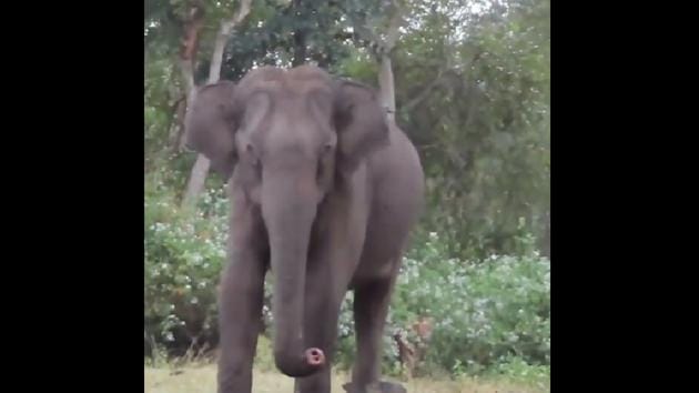 The video has prompted people to share various comments. (Twitter/@anandmahindra) The video has prompted people to share various comments. (Twitter/@anandmahindra)