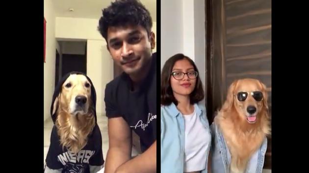 The image shows two doggos taking part in the challenge. (Instagram/@goldenlifeofbuddy) The image shows two doggos taking part in the challenge. (Instagram/@goldenlifeofbuddy)