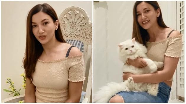 Gauahar Khan’s beige bodycon top worth Rs 800 is perfect for brunch dates(Instagram/gauaharkhan)