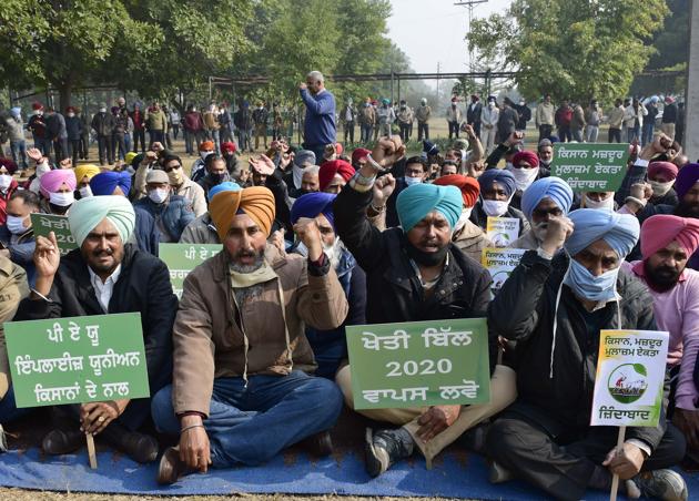 Punjab Agricultural University employees hold protest rally against farm  laws - Hindustan Times