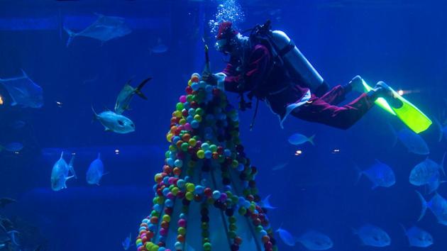A diver dressed as Santa Claus arranges a Christmas tree at an aquarium in Jakarta, Indonesia on December 22. The Indonesian government has banned celebrations and gatherings of more than five people in public areas and limited hours of service activities in wake of the coronavirus outbreak. (Antara Foto / Aditya Pradana Putra via REUTERS) A diver dressed as Santa Claus arranges a Christmas tree at an aquarium in Jakarta, Indonesia on December 22. The Indonesian government has banned celebrations and gatherings of more than five people in public areas and limited hours of service activities in wake of the coronavirus outbreak. (Antara Foto / Aditya Pradana Putra via REUTERS)