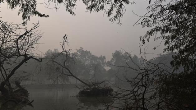 Birds seen on a tree branch at Sanjay Lake in New Delhi on December 22. IMD scientists have warned that the forecast does not show any significant improvement in wind speed till December 26, which means that the pollution levels are also expected to be on a rise, HT reported. (Ajay Aggarwal / HT Photo)