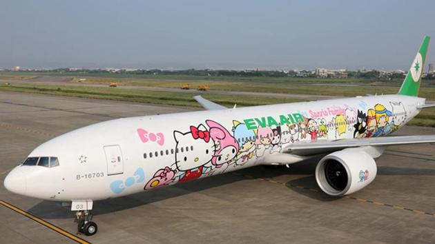 Neither the airline nor the government has named the pilot, who is being treated in hospital. ((EVA Air)) Neither the airline nor the government has named the pilot, who is being treated in hospital. ((EVA Air))