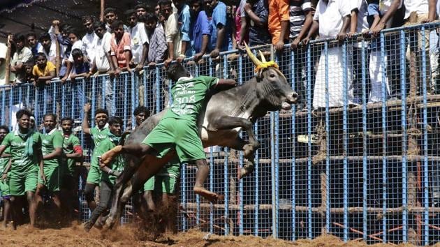 Representational photo. (AP File) Representational photo. (AP File)
