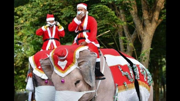 Thai mahouts dress elephants as Santa Claus to help distribute face masks to students. (REUTERS) Thai mahouts dress elephants as Santa Claus to help distribute face masks to students. (REUTERS)