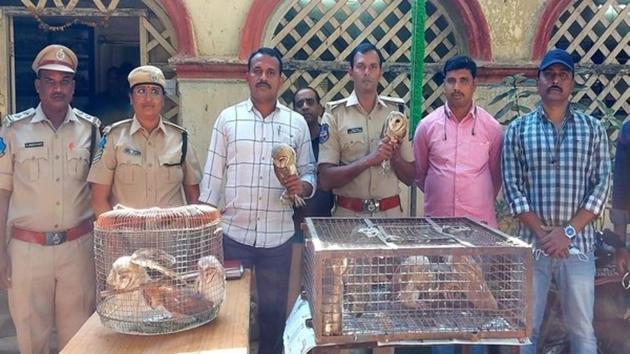 The image shows the rescued owls. (ANI) The image shows the rescued owls. (ANI)
