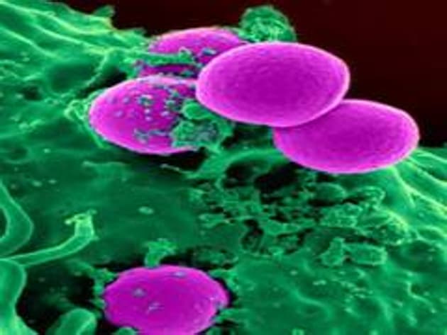 The research, provides new insights into how cancers evolve to adapt to changing environments and suggests ways to reduce drug resistance by combining therapies.(ANI) The research, provides new insights into how cancers evolve to adapt to changing environments and suggests ways to reduce drug resistance by combining therapies.(ANI)