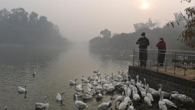 A visitor feeds geese at Sanjay Lake on a cold winter morning in New Delhi on December 22. Safdarjung observatory, which is considered the official recording for Delhi, on December 22 recorded a minimum temperature of 5.3 degrees Celsius, three degrees below normal. (Ajay Aggarwal / HT Photo)