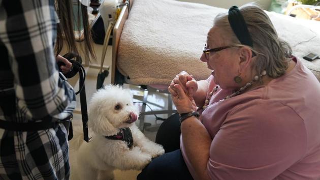 Dogs visiting cheap nursing homes