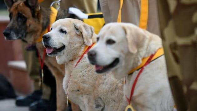 On Thursday, the eight dogs bid adieu to the force during a farewell ceremony organized specially for them at their Shastri Park kennel in east Delhi.(Amal KS/HT PHOTO)