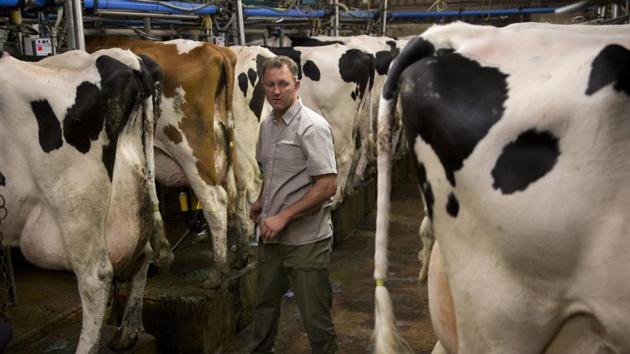 Closer to home, UK farmers are grappling with changes to subsidies which have been laid out in the Environment Land Management Scheme. (AP file photo) Closer to home, UK farmers are grappling with changes to subsidies which have been laid out in the Environment Land Management Scheme. (AP file photo)