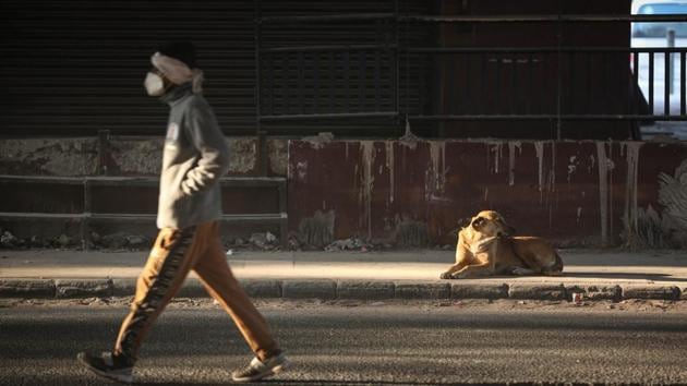 A man walks past a dog basking in the sun at Shadipur on a winter morning in New Delhi on December 25. Kuldeep Shrivastava, who heads the Regional Weather Forecasting Centre, said in a report that an approaching Western Disturbance may cause light rain in Delhi on December 27 following which temperatures are likely to fall again. The IMD forecasts snow in Kashmir, Ladakh and parts of Himachal Pradesh and Uttarakand on December 27 and 28. (Sanchit Khanna / HT Photo)