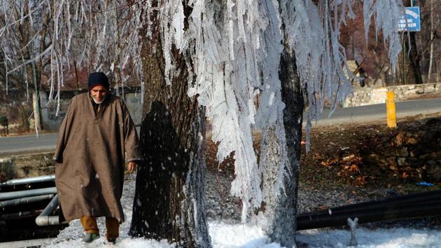 A man walks beside the icicles hanging from a tree, at Pahalgam in South Kashmir on December 25. The IMD declares a cold wave when the minimum temperature is 10 degrees Celsius or below and is 4.5 notches less than normal. (ANI)