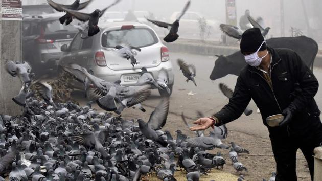 A man wearing a face mask feeds pigeons along the roadside amid fog on a winter morning in Amritsar on December 26. Five percent of the positive cases of Covid-19 from all states and UTs will be tested for Whole Genome Sequencing (WGS) as part of a strategy to detect and contain the mutant variant, the Union Health Ministry said. (Natinder Nanu / AFP) A man wearing a face mask feeds pigeons along the roadside amid fog on a winter morning in Amritsar on December 26. Five percent of the positive cases of Covid-19 from all states and UTs will be tested for Whole Genome Sequencing (WGS) as part of a strategy to detect and contain the mutant variant, the Union Health Ministry said. (Natinder Nanu / AFP)