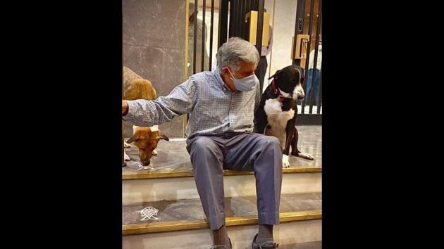 The image shows Ratan Tata with his two adopted dogs. (Instagram/@ratantata) The image shows Ratan Tata with his two adopted dogs. (Instagram/@ratantata)