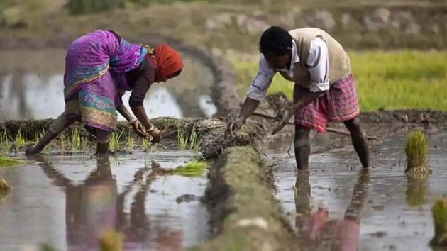 The huge cut in subsidy was also attributed to the financial strain the state was suffering due to the impact of coronavirus pandemic. (AP file photo) The huge cut in subsidy was also attributed to the financial strain the state was suffering due to the impact of coronavirus pandemic. (AP file photo)