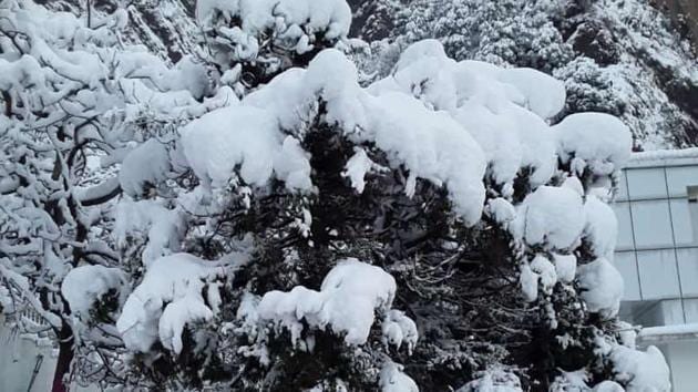 Vaishno Devi shrine in Trikuta hills, Reasi district, Jammu and Kashmir received season’s first snow fall on Sunday. (HT photo)