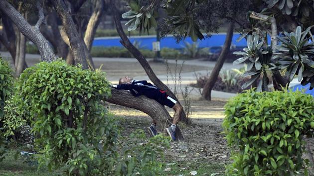 A man performs yoga at Nehru Park in New Delhi on December 28. Exposure to dense fog is associated with respiratory complications particularly for people with asthma, bronchitis and other lung conditions, IMD’s impact based warning said. (Sanjeev Verma / HT Photo) A man performs yoga at Nehru Park in New Delhi on December 28. Exposure to dense fog is associated with respiratory complications particularly for people with asthma, bronchitis and other lung conditions, IMD’s impact based warning said. (Sanjeev Verma / HT Photo)