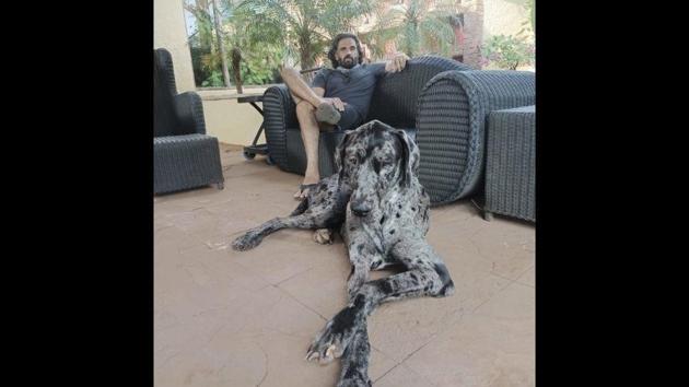 The image shows Suniel Shetty with one of his pet doggos. (Instagram/@suniel.shetty) The image shows Suniel Shetty with one of his pet doggos. (Instagram/@suniel.shetty)