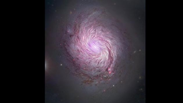 The image was shared by NASA on Instagram. (Instagram/@NASA) The image was shared by NASA on Instagram. (Instagram/@NASA)