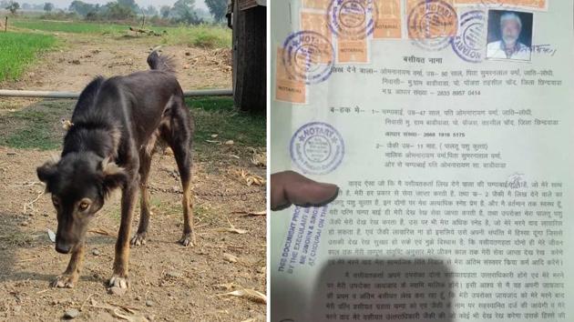 The dog that farmer Omnarayan Verma named in his will as his heir.(HT PHOTO)